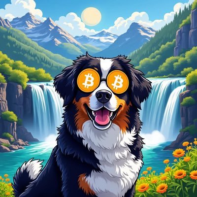 Hardstyler0786's profile picture. 