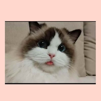 saowaluk1994g's profile picture. ไม่ล้อเลียน ไม่ล้อเล่น ของจริง