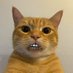 MAYOR TBB (SPECIALIST) (@mayortbb) Twitter profile photo MAYOR TBB (SPECIALIST) (@mayortbb) Twitter profile photo