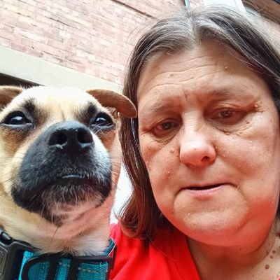 I am nkotb fan love Jordan and joey also love Jeremy shade , cameron boyce( R.I.P) love pandas 🐼 I have 3 dogs 2 cats married and 1 daughter 2 sons