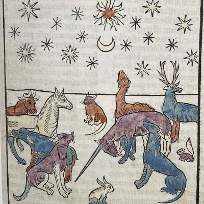 manehandle's profile picture. 