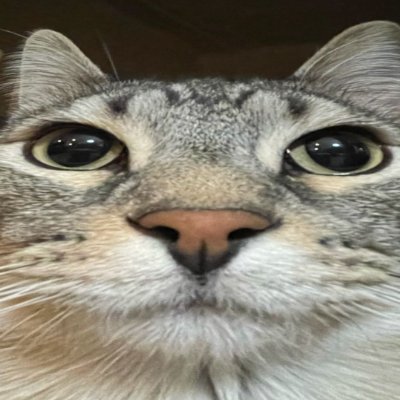 frogfurger's profile picture. 15
radiant