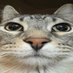 frogfurger (@frogfurger) Twitter profile photo frogfurger (@frogfurger) Twitter profile photo