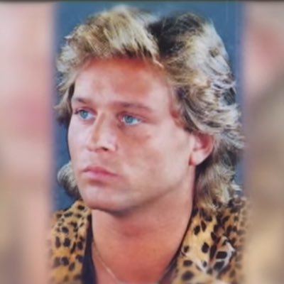 meinsib's profile picture. 20 | Selling Industrial Tech since 15yo | Full Stack Developer | Centralizing Industrial Knowledge