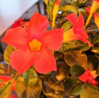 LisaSturm38's profile picture. 