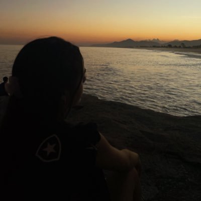 botafogo de futebol e regatas.