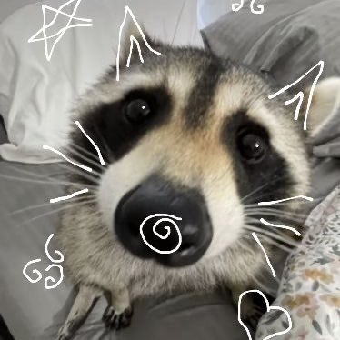 - Venus - They/Them/Theirs - 22 - ao3/ wattpad writer - 🦝🤍🔮🌙