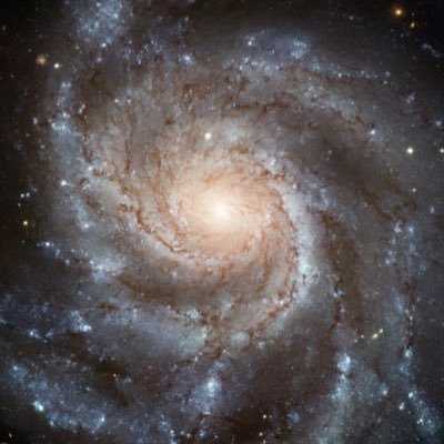 marwan_btc's profile picture. I mostly read | Deep learning