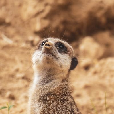 numlock_0831's profile picture. アラフォーにしてX始めました。