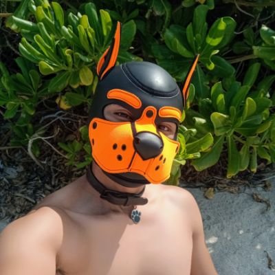 🐶🟠Orange pup 🐾 • 22 yo • 🇲🇽
Good and little naughty boy
