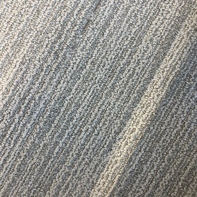RootedSoCal's profile picture. bb