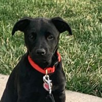 JasonC (@jasoncaddick3) 's Twitter Profile