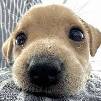 denzycs's profile picture. 18 y.o Denis "dENZY" Osipov 
LFT
HLTV: https://t.co/0dXevYipMQ
ex top 131 https://t.co/HGq6pYCzIQ