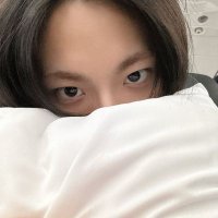 ✦ ࣪navi (@zztarchild) 's Twitter Profile
