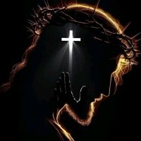 Freddy Diaz (@luis212s) 's Twitter Profile