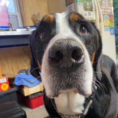 minusRoi's profile picture. Detroit Sports. DM for betting partnerships. RIP CINEMA.