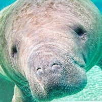 StackQ (@stackqtm) 's Twitter Profile