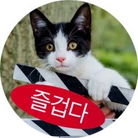 ⧗진가연(¯―¯٥) (@2much1ove) 's Twitter Profile
