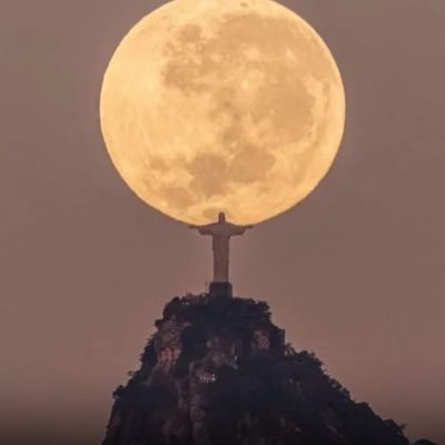 marjo_sluis's profile picture. 