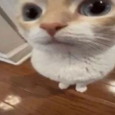 overlycharley's profile picture. 