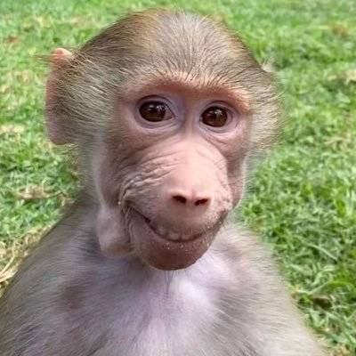 FentCopter's profile picture. Fornyt