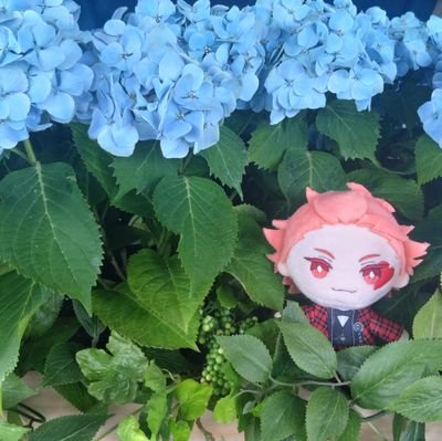 しろのクンさんのプロフィール画像