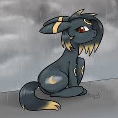 supercat4510's profile picture. 