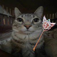 kazefv1 (@kazefv1) 's Twitter Profile