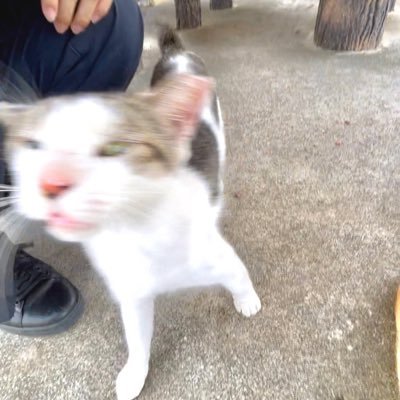 h85wrNbfQiRaFQP's profile picture. 取引用