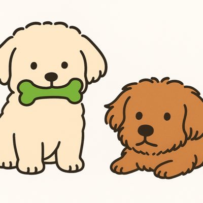モコ(マルプー)&チョコ(Mダックス×Mシュナ×トイプー)と暮らしてます🐶💭 心臓病だったMOCO(トイプー )の思い出と、今の幸せな日々をぽつぽつ綴っていきます🫧 #犬のいる暮らし #犬好きさんと繋がりたい