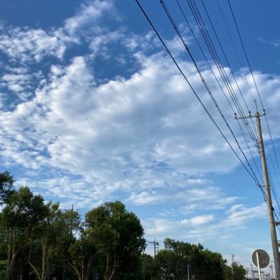 MfmmKPcPlp19684's profile picture. オタク垢
