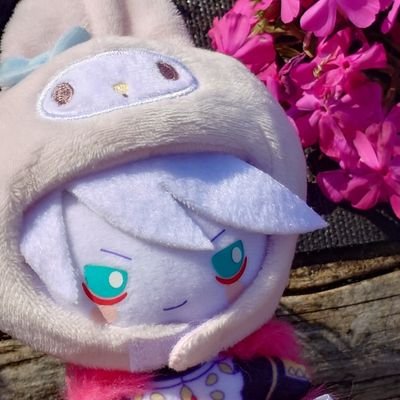 桃茶丸さんのプロフィール画像