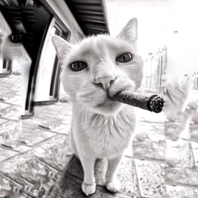 YogaSandana's profile picture. 