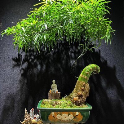 Ngʰį»i theo Äuį»i sį»± chĆ¢n thĆ nh trong lį»i nói, hĆ nh Äį»ng vĆ cįŗ£ những mį»i quan hį».