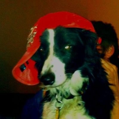 sup
im 15 rest in peace subrox you will always be missed
