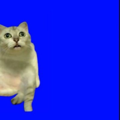unakuyt's profile picture. ウソップみたいになりたい