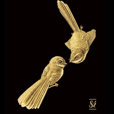 Indigenous innovator with an evolutionary focus . Blending nature-inspired observation, ancient teachings, and modern science.