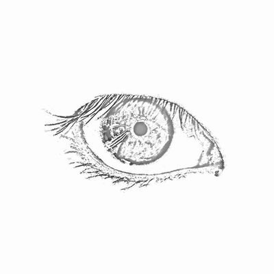 JasonLee22514's profile picture. 