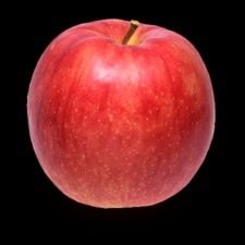 1919ryohe's profile picture. ⚠R-18
男女共によろしくお願いします☺️
運動と軽めのhentaiが趣味のホビット
動画載せるのでフォロー注意してください🥲

ヤンキー系オラオラ系、不潔、変な人は苦手
セーフで

30代　返信遅くなるかも