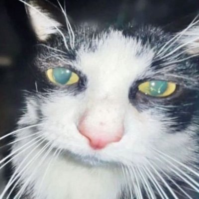 Chari850's profile picture. I'm a gamer with terrible opinions
I never use twitter so at least i cant show them