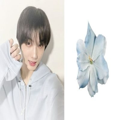 fixongurl's profile picture. ⋆⁺
     So take me to the evening glow ♪⁠～
     
      ⋆. 𐙚 ˚
      ᰔ Nacho ver @lix_hi 💗
     . ݁₊ ⊹ . ݁˖ . ݁. ݁₊ ⊹ . ݁˖ . ݁