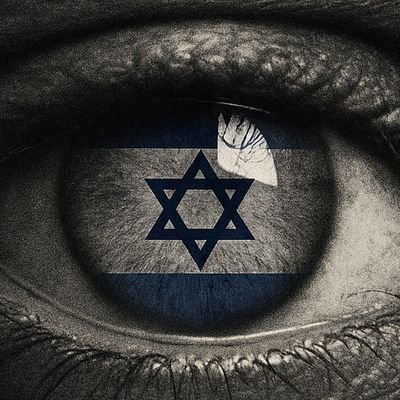 Israeli 🇮🇱 | IDF Veteran | Zionist by conviction. I speak facts not feelings. Truth is non-negotiable.
#AmYisraelChai