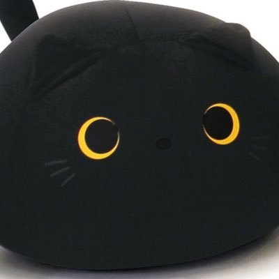 Buddisama_Kira's profile picture. 01line /Fukuoka🍜 /社会人🚹/OYM 増本綺良 5位