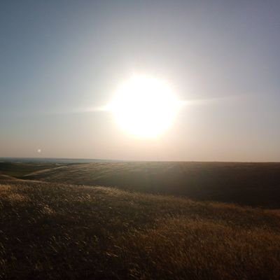 Johbalkennedy's profile picture. 