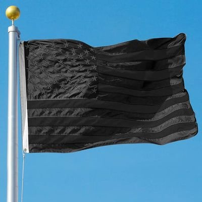 MichiganderMe's profile picture. If you don't know what the Black American flag means look it up before commenting .  It has nothing to with BLM which is a bullshit corrupt racist organization.