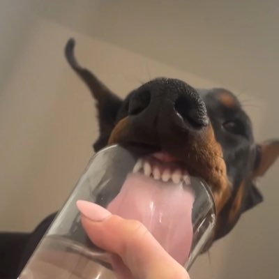 Pxx99333's profile picture. @ppp99333 

รีวิว #pxxบอกต่อ  #LetTheEarthBreath 🌳