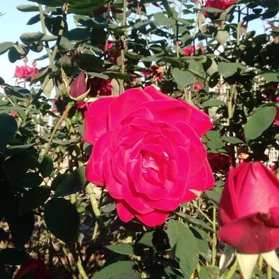 KTana05590427's profile picture. 自然🗻🌄🌈と歴史が好きです。
子供たちの未来も平和な日本🇯🇵でありますように･･･☺🙏