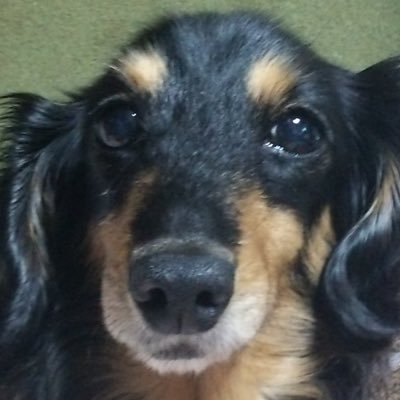 hdztVYEKbzKqf9K's profile picture. 初心者です。