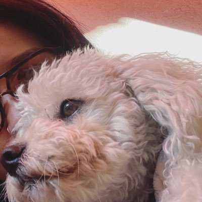 🍒 Poetry, flowers, my pets, coffee, wine e basta