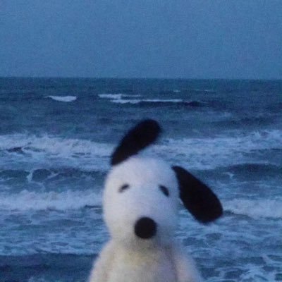 Shuazi_sn's profile picture. 